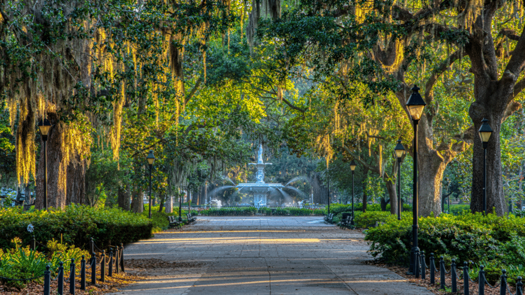 Savannah Spirits (1)