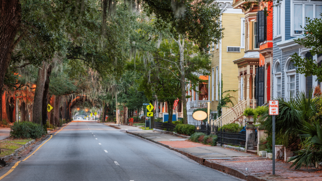 Savannah Spirits (8)
